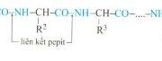 Bài 1, 2, 3, 4, 5, 6, 7, 8, 9, 10 trang 75 Sách Hóa lớp 12 Nâng cao: Peptit và protein