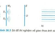 Bài C1, C2, C3, C4, 1, 2 trang 192, 192 Vật lý 12 Nâng cao – Trong thí nghiệm ở hình 36.3, độ lệch pha của hai nguồn S1, S2 bằng bao nhiêu?