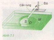 Bài 1, 2, 3, 4, 5, 6, 7, 8 trang 40 Vật lý 12: Sóng cơ và sự truyền sóng cơ