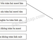 Bài 1, 2 trang 84 Vở bài tập Toán 3 tập 2: Một hình chữ nhật có chiều dài 5dm, chiều rộng 10cm. Chu vi của hình chữ nhật đó là 12dm