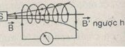 Bài C1, C2, C3, C4, 1, 2, 3, 4, 5, 6, 7 trang 184, 185, 187, 188, 189 Sách Lý 11 Nâng cao – Từ thông qua diện tích S tăng lên hai lần thì số đường sức từ qua diện tích đó thay đổ i như thế nào?