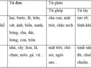 Soạn bài Luyện từ và câu: Ôn tập về từ và cấu tạo từ – Các từ trong mỗi nhóm dưới đây quan hệ với nhau như thế nào?