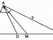 Bài 24, 3.1, 3.2 trang 88, 89 SBT Toán 8 tập 2: Tam giác ABC vuông tại A có đường phân giác AD…Chọn kết quả đúng?