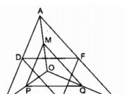 Bài 5.1, 5.2 trang 91 SBT Toán 8 tập 2: Các tam giác DEF và MPQ có đồng dạng với nhau không ? Vì sao ?