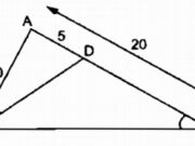 Bài 38, 6.1, 6.2 trang 92, 93 SBT Toán 8 tập 2: Hình bình hành ABCD có hai đường chéo AC và BD cắt nhau tại O và AC = 2.AB