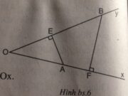 Bài 8.1, 8.2, 8.3 trang 96 SBT Toán 8 tập 2: Tam giác ABC vuông tại A có đường cao AH = n = 10,85cm…