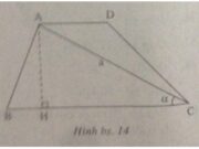 Bài 4.5, 4.6, 4.7, 4.8 trang 117 SBT Toán 9 tập 1: Cho tam giác nhọn MNP. Gọi D là chân đường cao của tam giác đó kẻ từ M. Chứng minh rằng