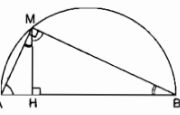 Bài 1.1, 1.2, 1.3 trang 48 SBT Toán 9 tập 2: Khi M chuyển động thì x thay đổi…Hỏi P(x) có phải là một hàm số của biến số x hay không?