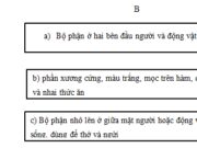 Luyện từ và câu – Từ nhiều nghĩa trang 41, 42 VBT Tiếng Việt lớp 5 tập 1: Nghĩa của các từ răng, mũi, tai ở bài tập 1 và bài tập 2 có gì giống nhau?