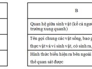 Luyện từ và câu – Mở rộng vốn từ : Bảo vệ môi trường trang 81, 82 VBT Tiếng Việt lớp 5 tập 1: Thay từ bảo vệ trong câu sau bằng một từ đồng nghĩa với nó 