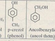 Bài 55. Phenol: Giải bài 1, 2, 3 trang 232 Hóa học 11 Nâng cao