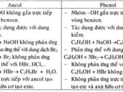 Bài 56. Luyện tập: Ancol, Phenol: Giải bài 1, 2, 3, 4 trang 235 SGK Hóa học 11 Nâng cao