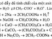 Bài 61. Axit cacboxylic: tính chất hóa học – điều chế và ứng dụng: Giải bài 1, 2, 3 trang 256 Hóa 11 Nâng cao