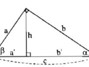 Bài tập trắc nghiệm trang 109 SBT Toán 9 tập 1: Xét hình bs.4, đẳng thức nào đúng cos2∝ + sin2β = 1, sin2∝ + cos2β = 1