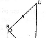 Bài 18, 19, 20 trang 82 SBT Toán 8 tập 1: Hình thang vuông ABCD có , AB=AD=2cm, DC= 4cm.Tính các góc của hình thang