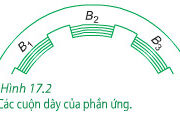 Bài 1, 2, 3, 4 trang 94 Lý lớp 12: Máy phát điện xoay chiều