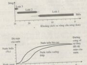 Bài 12, 13, 14 trang 152, 153 SBT Sinh 12: Hãy đưa ra giả thuyết một lưới thức ăn trong hồ ?