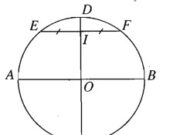 Bài 2.35, 3.36 trang 83 SBT Hình học 11:  Hãy vẽ hình biểu diễn của một đường tròn cùng với hai đường kính vuông góc của đường tròn đó?