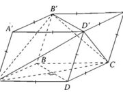 Bài 3.22, 3.23, 3.24 trang 152 Sách BT Hình học 11: Chứng minh rằng mặt phẳng (ABD)  vuông góc với mặt phẳng (BCD) ?