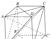 Bài 3.26, 3.27, 3.28, 3.29 trang 153 SBT Hình học 11: Chứng minh mỗi cạnh bên của hình chóp đó vuông góc với cạnh đối diện ?