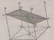 Bài 1, 2, 3, 4 trang 71 SGK Hình học 11: Hai mặt phẳng song song