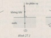 Bài 27.1, 27.2, 27.3, 27.4, 27.5 trang 69 Sách BT Lý 11: Phản xạ toàn phần và phản xạ thông thường giống nhau ở đâu ?