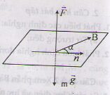 Bài 1, 2, 3, 4, 5, 6, 7 trang 128 SGK Lý 11: Lực từ cảm ứng từ