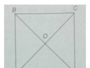 Bài 1.1, 1.2, 1.3, 1.4 trang 12 SBT Hình học 10: Cho tam giác ABC…Vì sao có thể nói hai vec tơ này cùng phương?