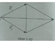 Bài 1.16, 1.17, 1.18, 1.19 trang 23 SBT Hình 10: Cho ba điểm O, A, B không thẳng hàng, Điều kiện Vecto O A + O B nằm trên đường phân giác của góc AOB