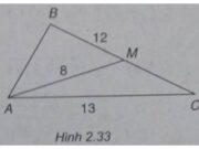 Bài 2.51, 2.52, 5.53, 5.54 trang 104 Sách BT Toán Hình học 10: : Tam giác ABC có BC = 12, CA = 13, trung tuyến AM = 8. Tính diện tích tam giác ABC;