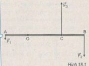 Bài 18.1, 18.2, 18.3, 18.4 trang 43, 44 SBT Vật Lý 10: Lực của lò xo tác dụng lên bàn đạp và độ cứng của lò xo là bao nhiêu ?