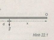 Bài 22.1, 22.2, 22.3 trang 49, 50 SBT Lý 10: Tính momen của ngẫu lực trong trường hợp các lực vuông góc với cạnh AB?