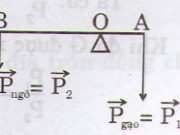 Bài 1, 2, 3, 4, 5 trang 106 Sách Vật lý lớp 10: Quy tắc hợp lực song song cùng chiều