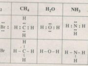 Bài 3.40, 3.41, 3.42, 3.43, 3.44, 3.45 trang 31, 32 SBT Hóa 10: Nguyên tử của các nguyên tố thuộc nhóm này có bao nhiêu electron hoá trị ?