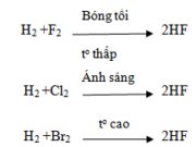 Bài 5.1, 5.2, 5.3, 5.4, 5.5 trang 46 SBT Hóa 10: Các nguyên tử halogen đều có đặc điểm gì ?