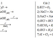 Bài 5.39, 5.40, 5.41, 5.42, 5.43 trang 52, 53 SBT Hóa 10: Viết PTHH của các phản ứng xảy ra trong quá trình sản xuất clorua vôi từ đá vôi và muối ăn ?