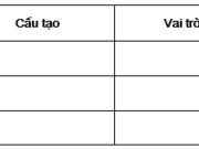 Bài 9, 10, 11, 12 trang 22, 23, 24 SBT Sinh 10: Điểm giống và khác nhau giữa cacbonhidrat và lopit là gì?