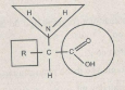 Bài 13, 14, 15, 16 trang 25, 26, 27 SBT Sinh 10: Tinh bột, dầu, prôtêin và axit nuclêic được cấu tạo từ những đơn phân nào ?