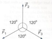 Giải bài 3, 4, 5, 6, 7 trang 63 SGK Vật Lý 10 Nâng Cao – Cho ba lực đồng quy cùng nằm trong một mặt phẳng,