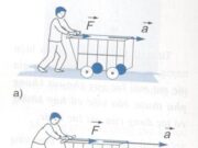 Bài C1, 1, 2, 3, 4, 5, 6 trang 67, 70 Vật Lý 10 Nâng Cao – Câu nào sau đây là đúng ?