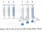 Bài C1, C2, 1, 2, 3, 4 trang 86, 88 Vật Lý 10 Nâng Cao – Trong thí nghiệm ở Hình 19.4,