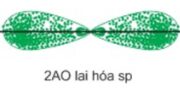 Bài 1, 2, 3, 4, 5, 6, 7, 8 trang 80 SGK Hóa lớp 10 Nâng cao: Sự lai hóa các obitan nguyên tử. Sự hình thành liên kết đơn, liên kết đôi và liên kết ba