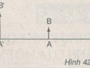 Bài 42-43.4, 42-43.5, 42-43.6 trang 88 SBT môn Lý lớp 9: Vận dụng kiến thức hình học, tính chiều cao h’ của ảnh theo h và tính khỏang cách d’ từ ảnh đến thấu kính theo d