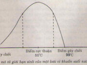 Bài 10, 11, 12, 13 trang 75 Sách BT Sinh 9: Một loài vi khuẩn sống ở suối nước nóng có điểm gây chết dưới là 0°C, điểm gây chết trên là 99°C, điểm cực thuận là 55°C. Hãy vẽ đồ thị mô tả giới hạn sinh thái của loài vi khuẩn này