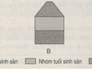 Bài 1, 2, 3, 4, 5 trang 89 SBT Sinh 9: Những đặc trưng của quần thể sinh vật là gì?