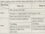 Bài 1, 2, 3, 4, 5 trang 5 Sách BT Sinh 7: Giải thích tại sao thế giới động vật đa dạng và phong phú