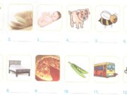 Phonetics – Unit 3 SBT Tiếng Anh 6 thí điểm: Label the pictures then read the words aloud.