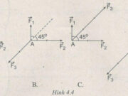 Bài 4.8, 4.9, 4.10 trang 14 SBT Vật Lý 8: Biểu diễn 3 lúc sau đây tác dụng lên vật bằng các vectơ lực?