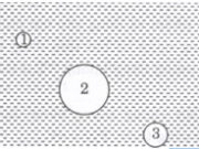 Bài 10.1, 10.2, 10.3, 10.4 trang 32 SBT môn Lý lớp 8: Lực đẩy nước tác dụng vào vật nào là lớn nhất, bé nhất ?