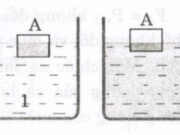 Bài 12.1, 12.2, 12.3, 12.4 trang 34 SBT Vật Lý 8: So sánh lực đẩy Ác- si-mét trong hai trường hợp